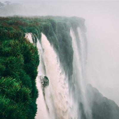 蜡笔小新过马路