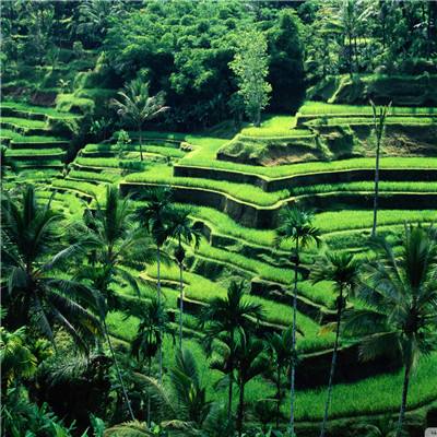 百变蜡笔小新修改版