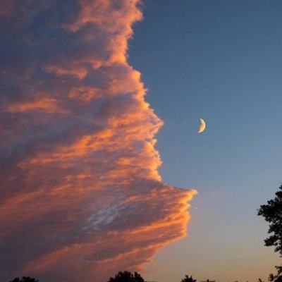 愤怒的小鸟神鹰版