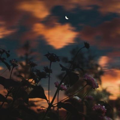 澳门一肖一码准选今晚下载