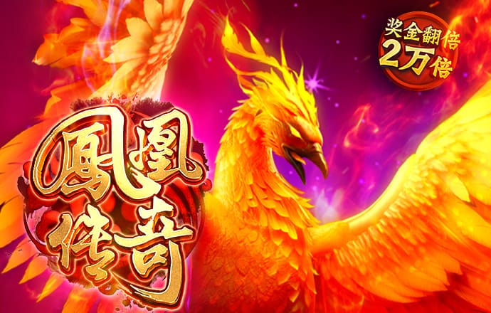 65体育官网