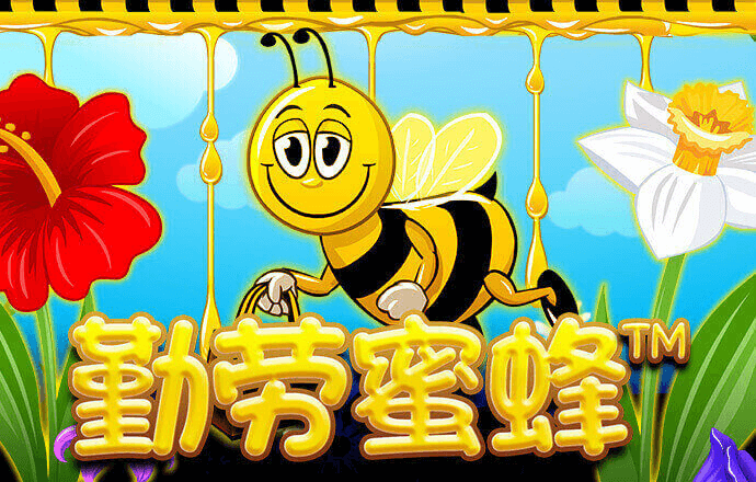 B体育登录app下载官方
