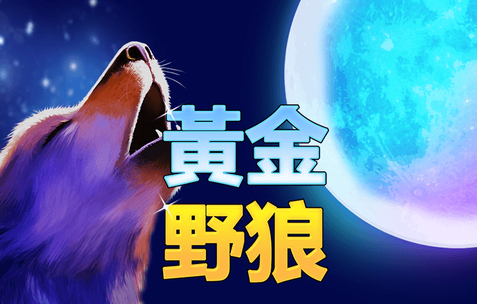 金年华体育平台官网入口