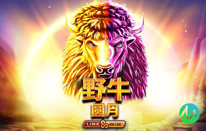 六合宝六合联盟典