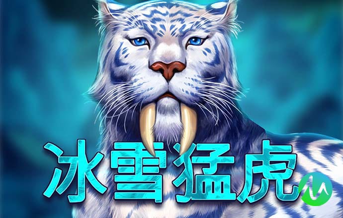 51大豆行情网